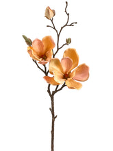 Load image into Gallery viewer, Yellow Gold