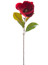 Load image into Gallery viewer, Red