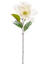 Load image into Gallery viewer, White