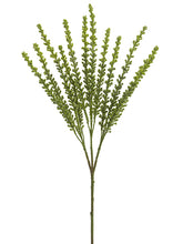 Load image into Gallery viewer, Two Tone Green