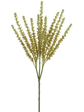 Load image into Gallery viewer, Moss Cream