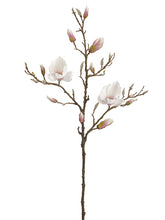 Load image into Gallery viewer, Pink Cream