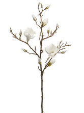 Load image into Gallery viewer, White Cream