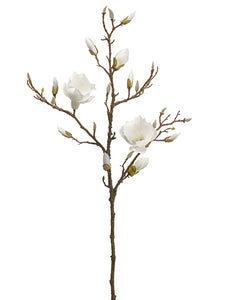White Cream
