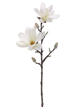 Load image into Gallery viewer, Cream