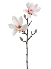Load image into Gallery viewer, Cream Pink