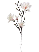 Load image into Gallery viewer, Cream Pink