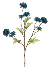 Load image into Gallery viewer, Blue
