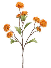 Load image into Gallery viewer, Mustard