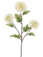 Load image into Gallery viewer, Beige