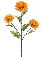 Load image into Gallery viewer, Mustard