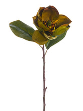 Load image into Gallery viewer, Green