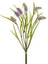 Load image into Gallery viewer, Lavender