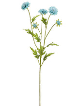 Load image into Gallery viewer, Aqua