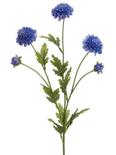Load image into Gallery viewer, Blue Delphinium