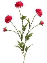 Load image into Gallery viewer, Cerise