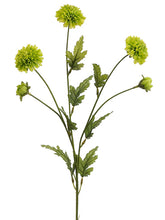 Load image into Gallery viewer, Green