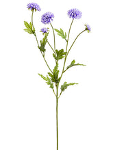 Load image into Gallery viewer, Lavender