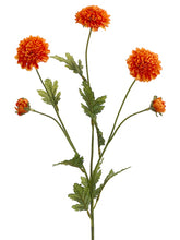 Load image into Gallery viewer, Orange