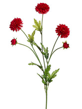 Load image into Gallery viewer, Red