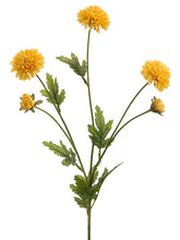 Load image into Gallery viewer, Yellow