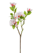 Load image into Gallery viewer, Pink Cream