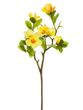 Load image into Gallery viewer, Two Tone Yellow