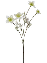 Load image into Gallery viewer, Cream Green