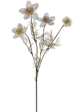 Load image into Gallery viewer, Two Tone Lavender