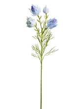 Load image into Gallery viewer, Blue