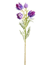 Load image into Gallery viewer, Purple