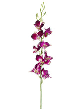 Load image into Gallery viewer, Purple
