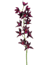 Load image into Gallery viewer, Plum