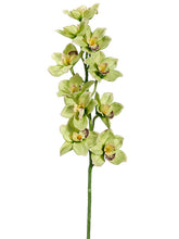 Load image into Gallery viewer, Green Burgundy