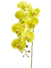 Load image into Gallery viewer, Green
