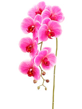 Load image into Gallery viewer, Orchid