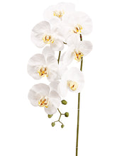 Load image into Gallery viewer, White