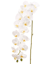 Load image into Gallery viewer, White