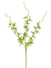 Load image into Gallery viewer, Green Cream