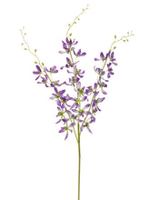 Load image into Gallery viewer, Lavender
