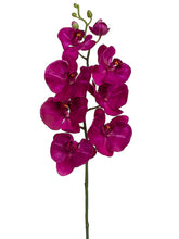 Load image into Gallery viewer, Orchid