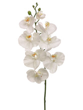 Load image into Gallery viewer, White