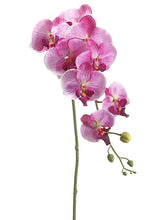 Load image into Gallery viewer, Orchid Violet
