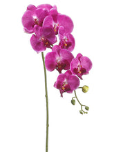 Load image into Gallery viewer, Two Tone Violet