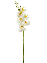 Load image into Gallery viewer, White