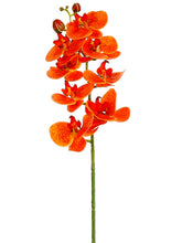 Load image into Gallery viewer, Orange