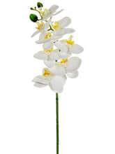 Load image into Gallery viewer, White