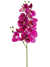 Load image into Gallery viewer, Orchid Cream