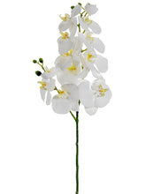 Load image into Gallery viewer, White