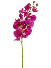 Load image into Gallery viewer, Orchid Cream
